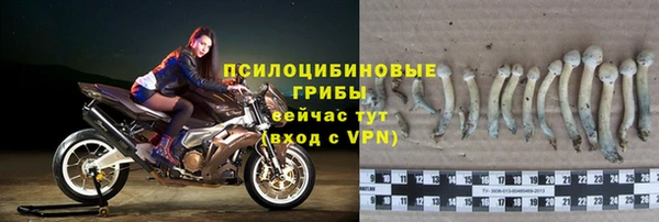 ПСИЛОЦИБИНОВЫЕ ГРИБЫ Абдулино