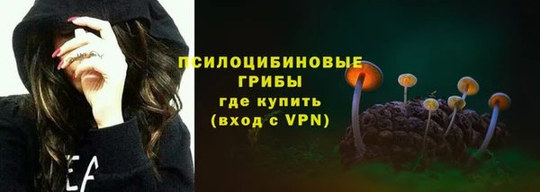 ПСИЛОЦИБИНОВЫЕ ГРИБЫ Абдулино