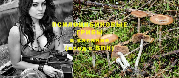 ПСИЛОЦИБИНОВЫЕ ГРИБЫ Абдулино